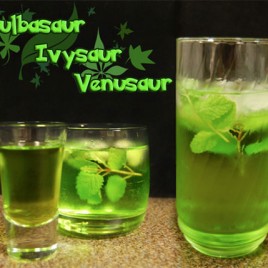 Bulbizarre Herbizarre Florizarre