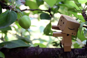 Danbo mini apple