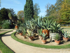 Parc de la Tête d'Or