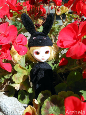 Arzhela photo 2012 Pullip