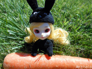 Arzhela photo 2012 Pullip